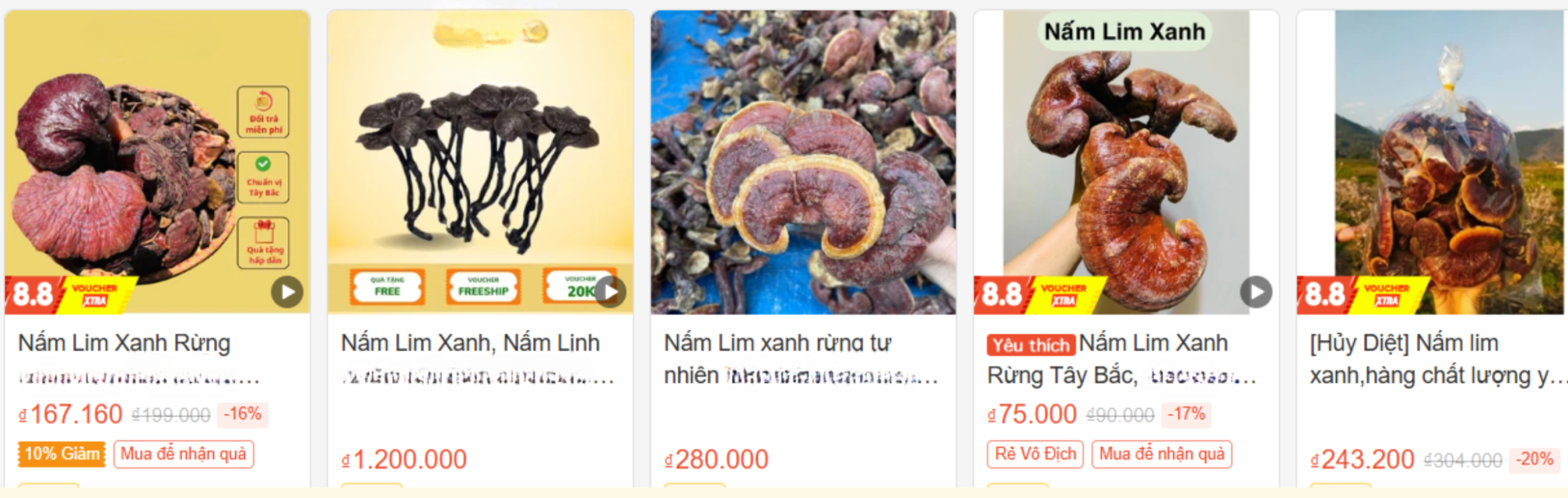 Nấm Lim Xanh rừng giá bao nhiêu